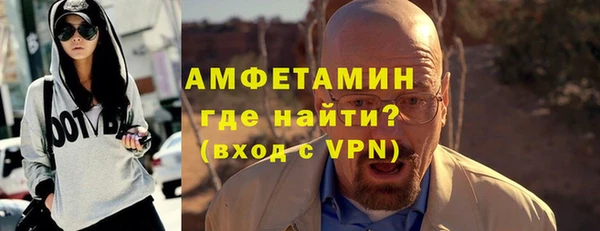 прущие грибы Каменногорск