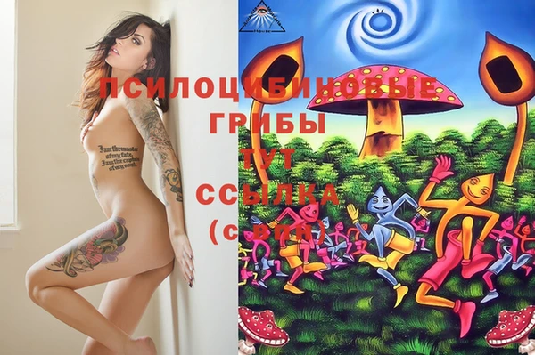 герыч Абинск