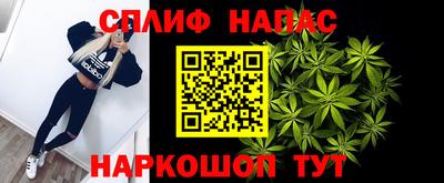 сатива Боровичи