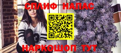 сатива Боровичи