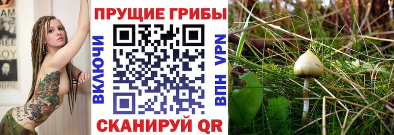 как найти наркотики  Белая Калитва  MEGA маркетплейс  Галлюциногенные грибы GOLDEN TEACHER 