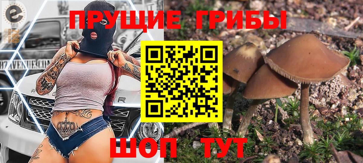 Псилоцибиновые грибы Psilocybine cubensis Белая Калитва
